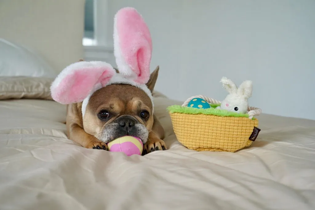 P.L.A.Y. Hippity Hoppity hundleksaksset mjuk 3-delar