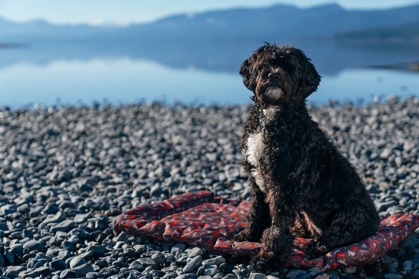 P.L.A.Y. Outdoor Chill Pad hundmatta vattenavvisande