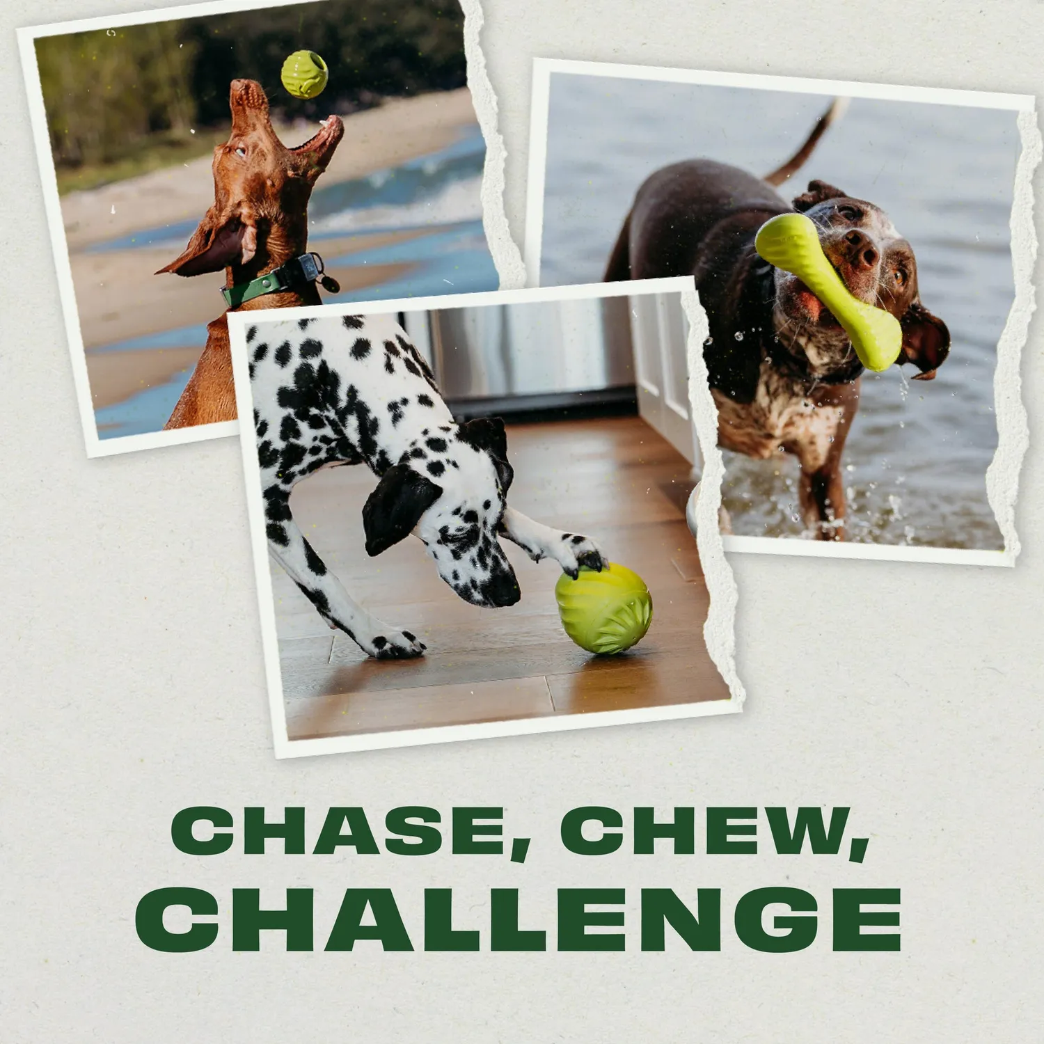 Benebone Chew Chase Challenge Trio hundleksak 3-pack gummi