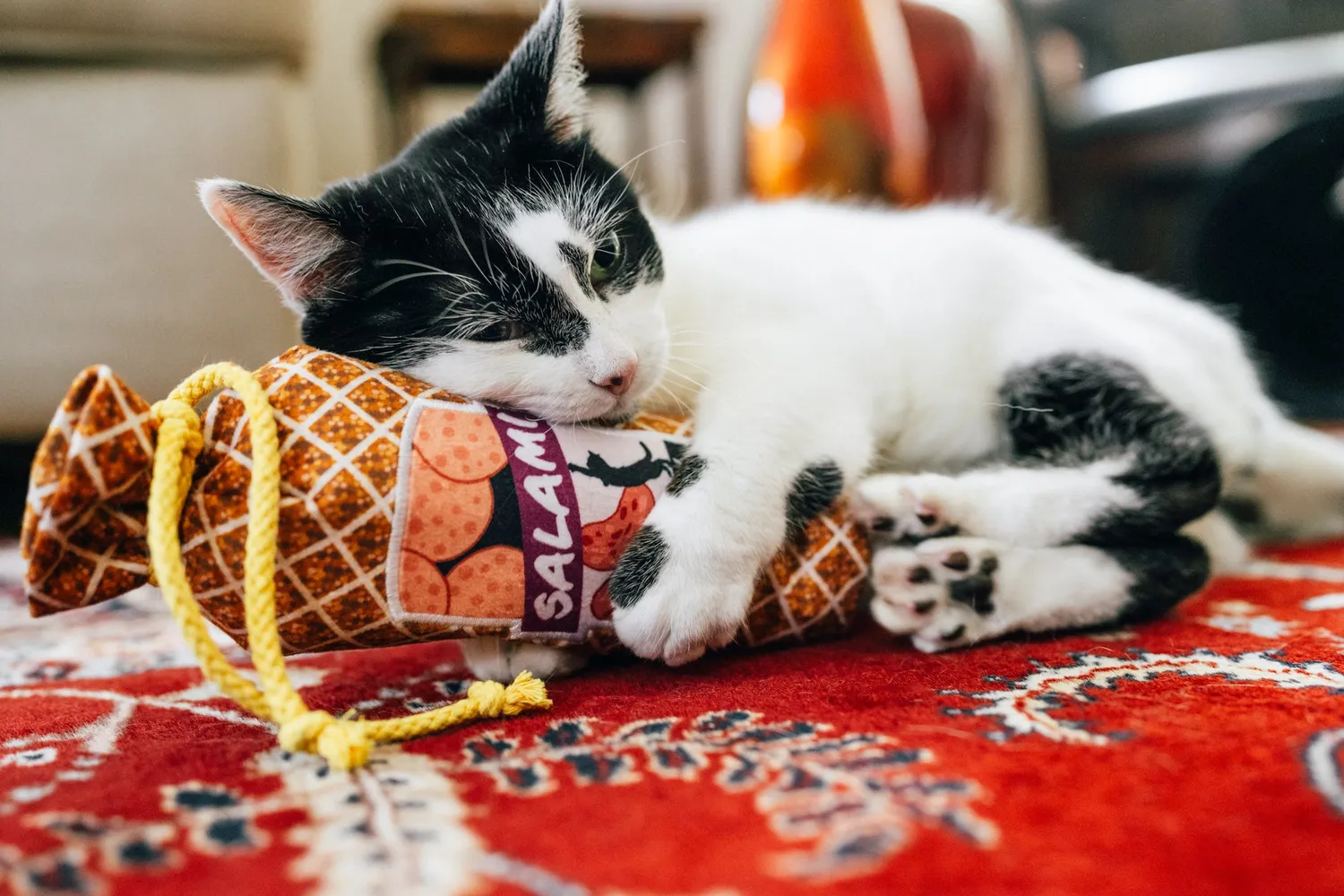 P.L.A.Y. Feline Frenzy Salami Slammer kattleksak kattmynta