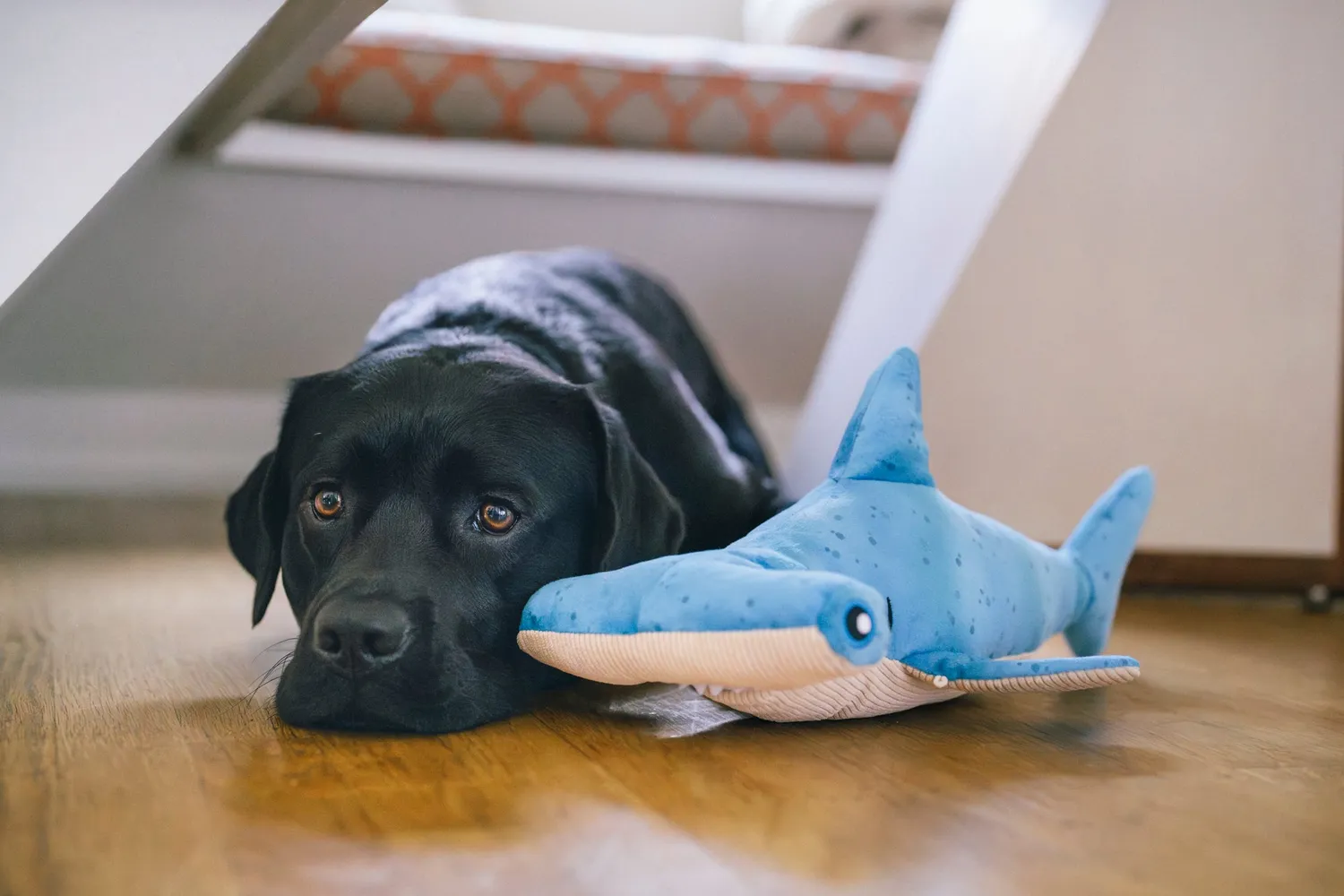 P.L.A.Y. Ocean Buddies Bonk Hammerhead hundleksak med godisficka