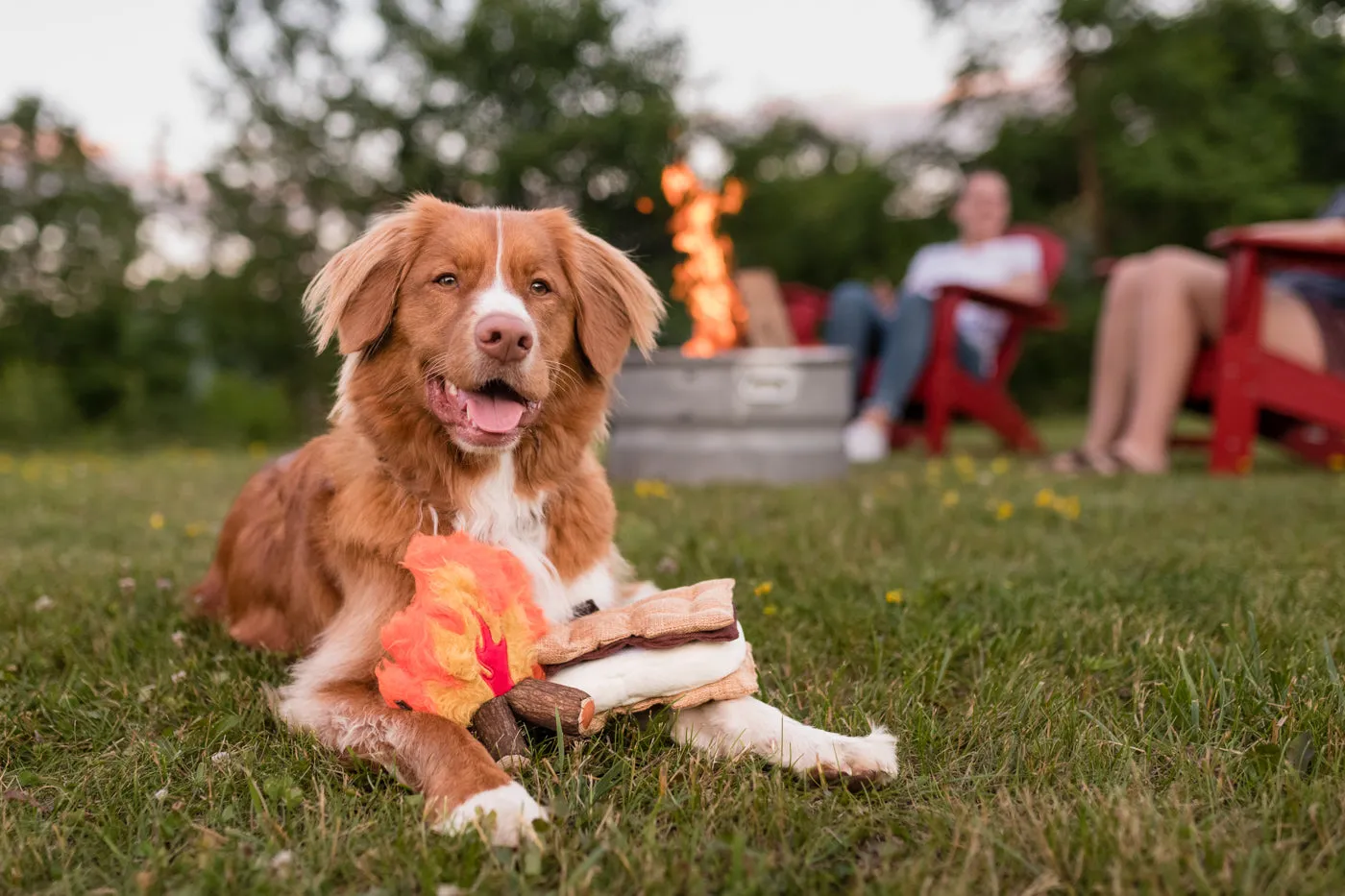 P.L.A.Y. Camp Corbin Gimme S'more hundleksak delbar
