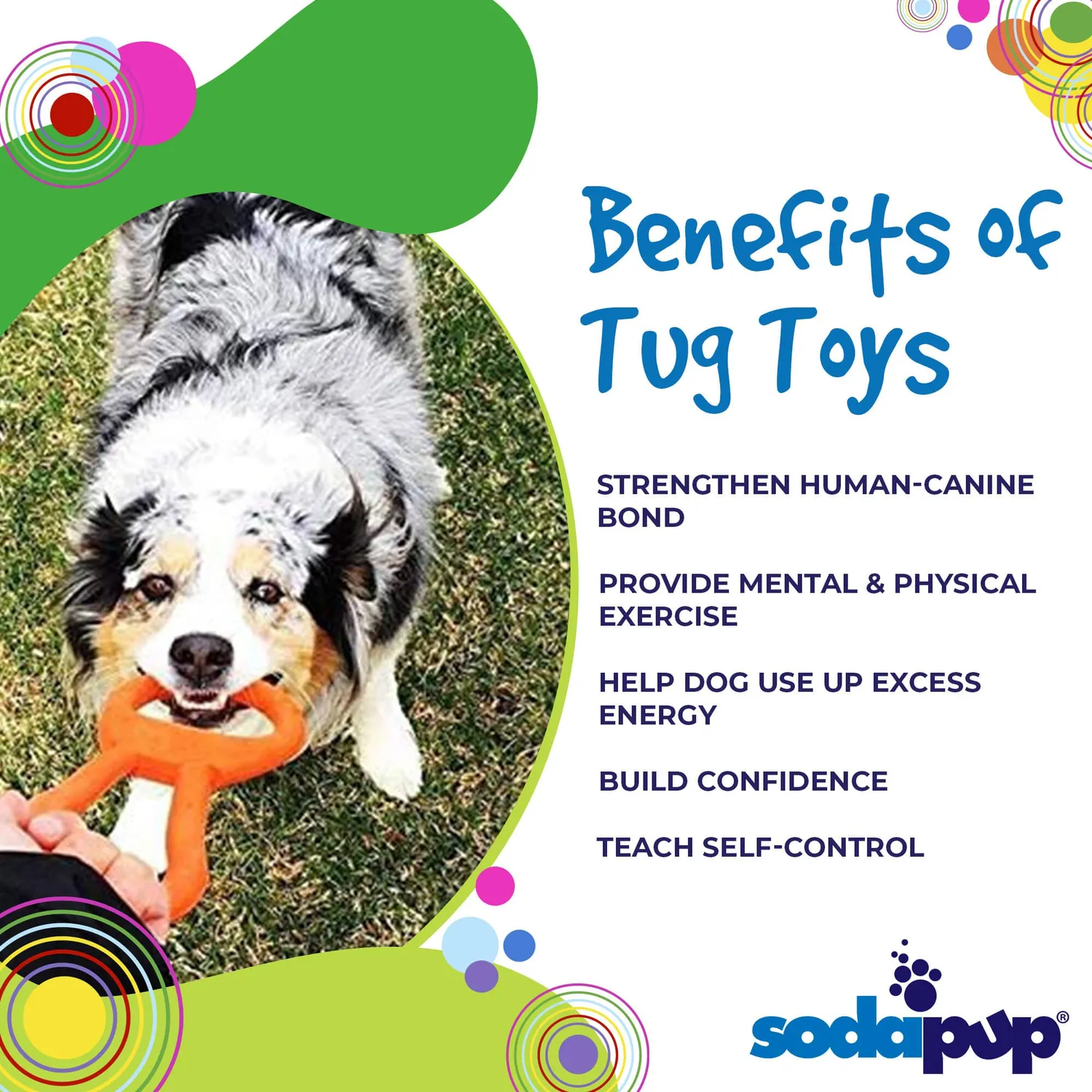 SodaPup Pop Top Tug Toy dragleksak naturgummi kraftig
