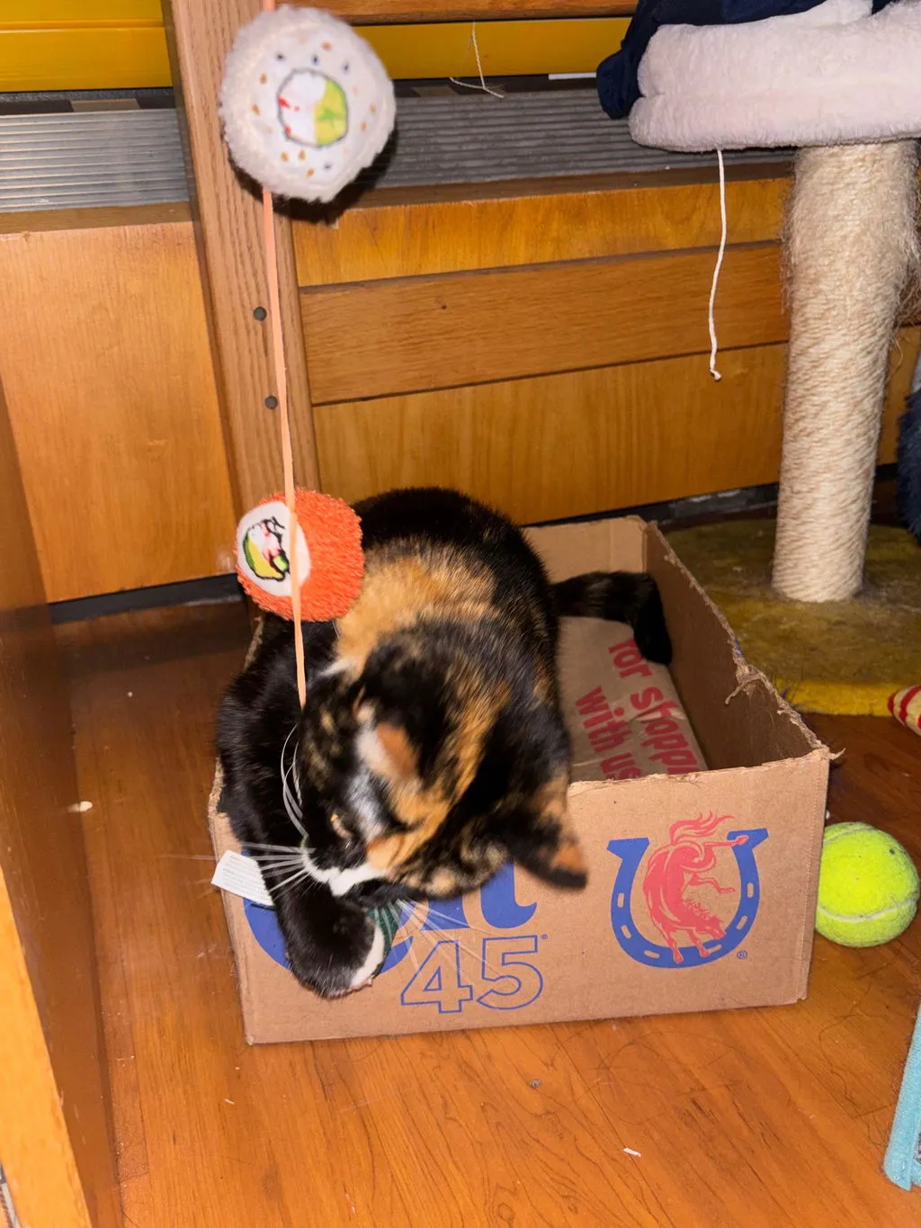 P.L.A.Y. Feline Frenzy Roll With It kattspö med kattmynta