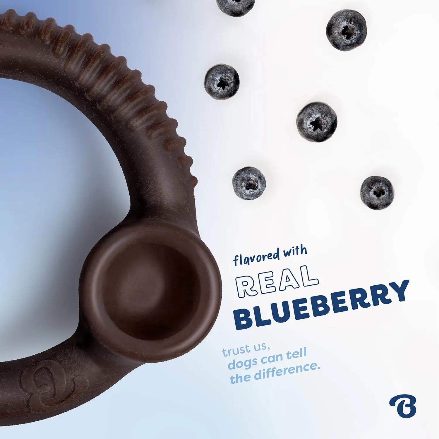 Benebone Blueberry Ring tuggben medium blåbär