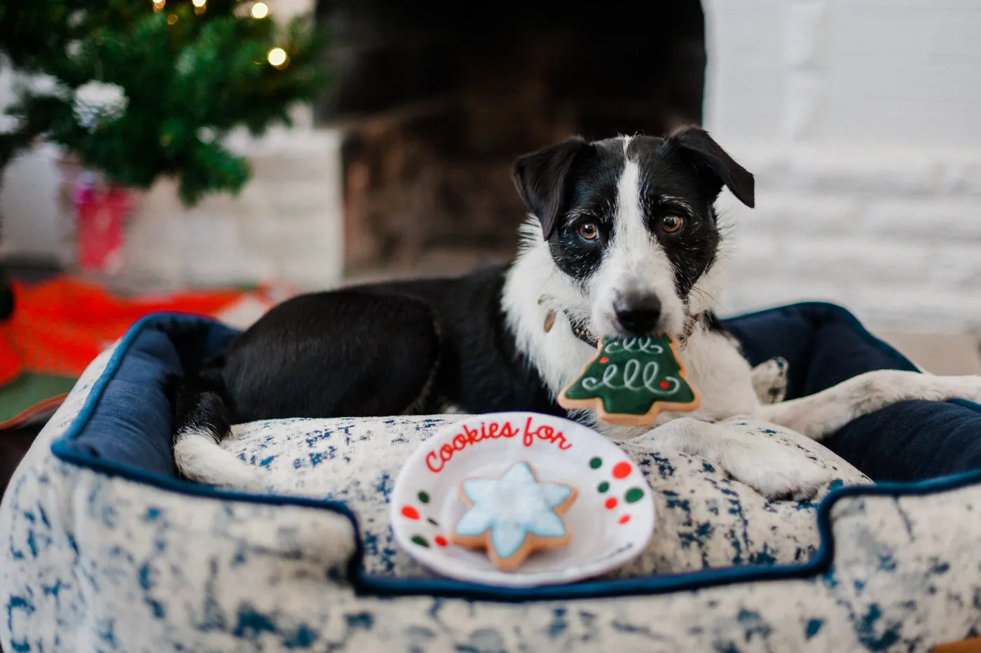 P.L.A.Y. Merry Woofmas Christmas Eve Cookies hundleksak med pip