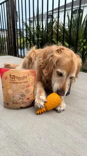 Spunky Pup Fruits Veggies godisleksak hund Banan gummi
