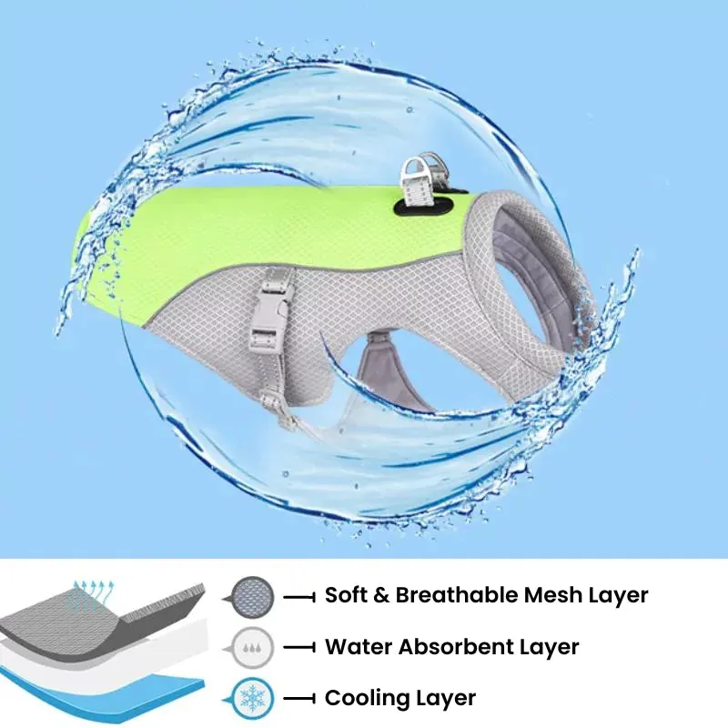 Pawtato Cooling Dog Vest kylande hundväst med koppelring