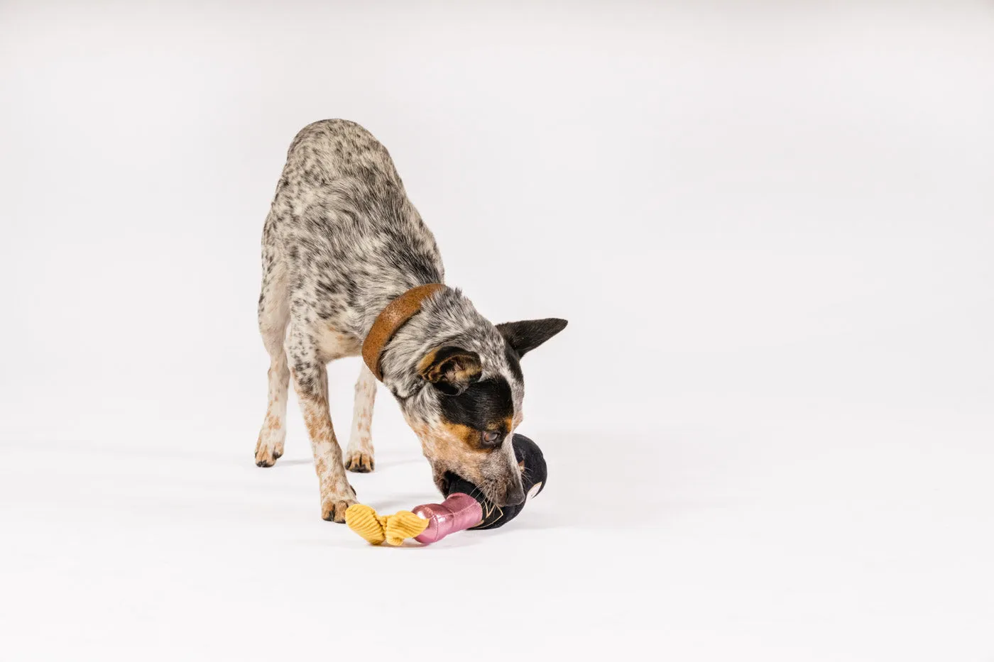 P.L.A.Y. Puppin' Champagne hundleksak med pip och dragsnöre
