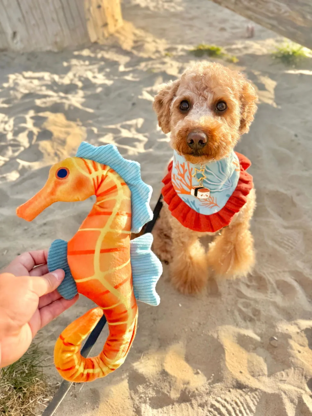 P.L.A.Y. Ocean Buddies Seahorse hundleksak med pip och prassel