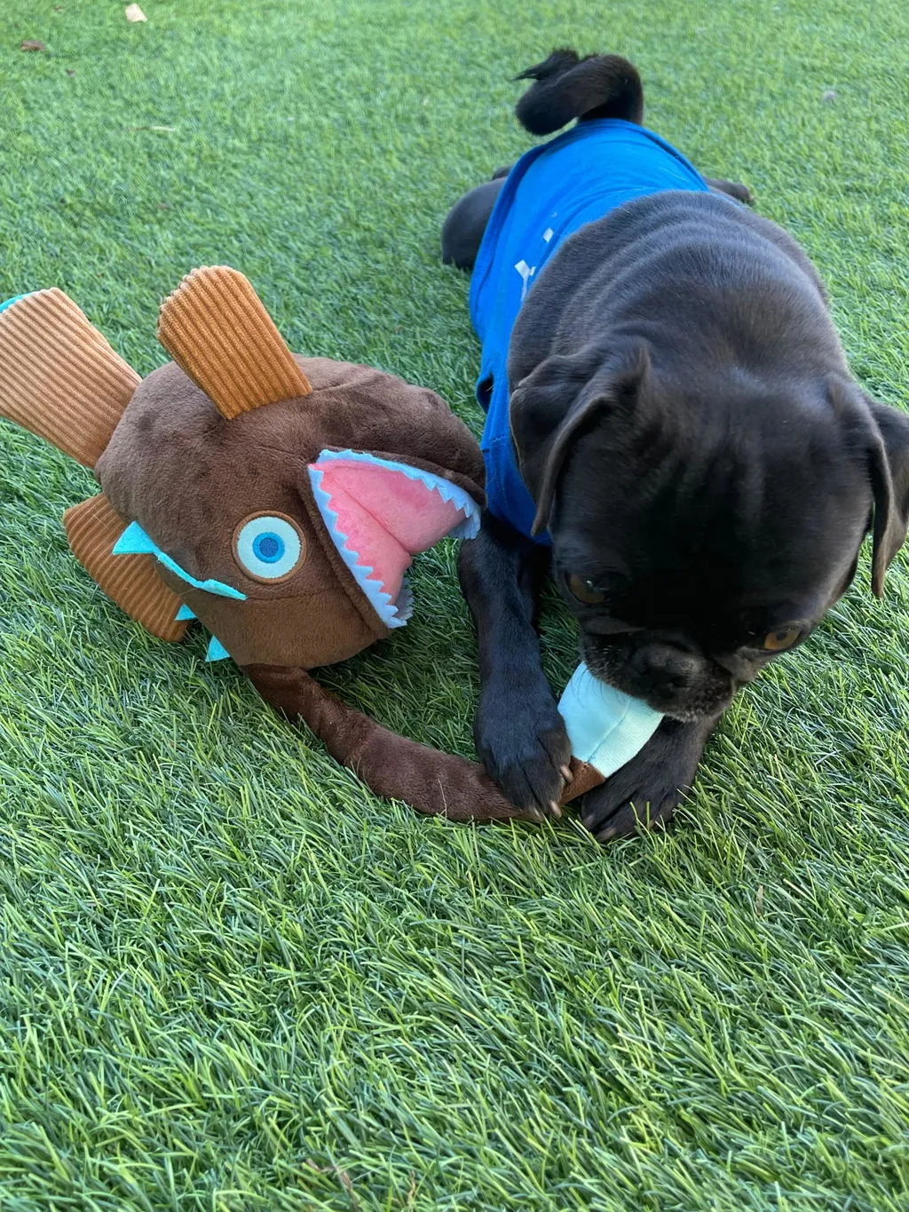 P.L.A.Y. Ocean Buddies Angler Fish mjukisleksak pip