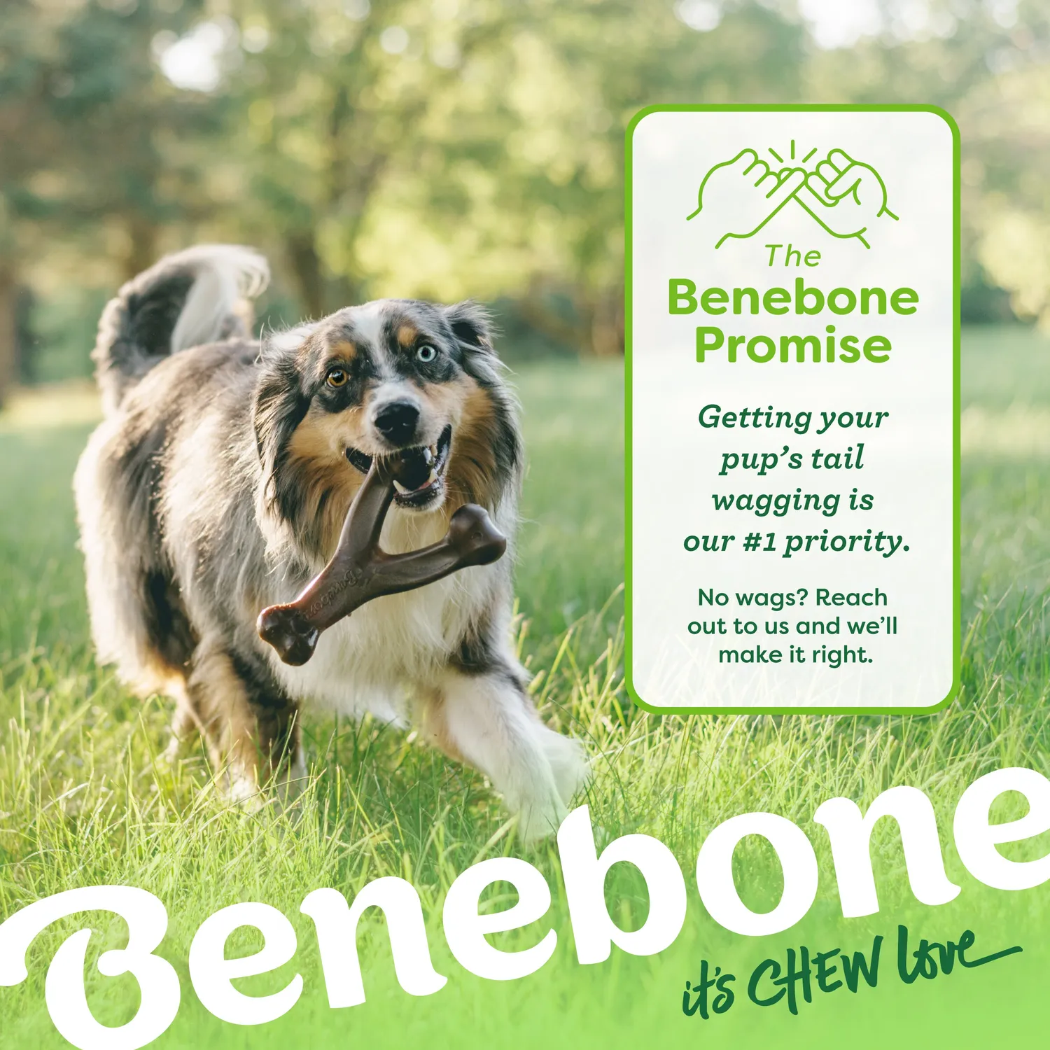Benebone Chew & Fetch Duo tuggset 2-pack medium