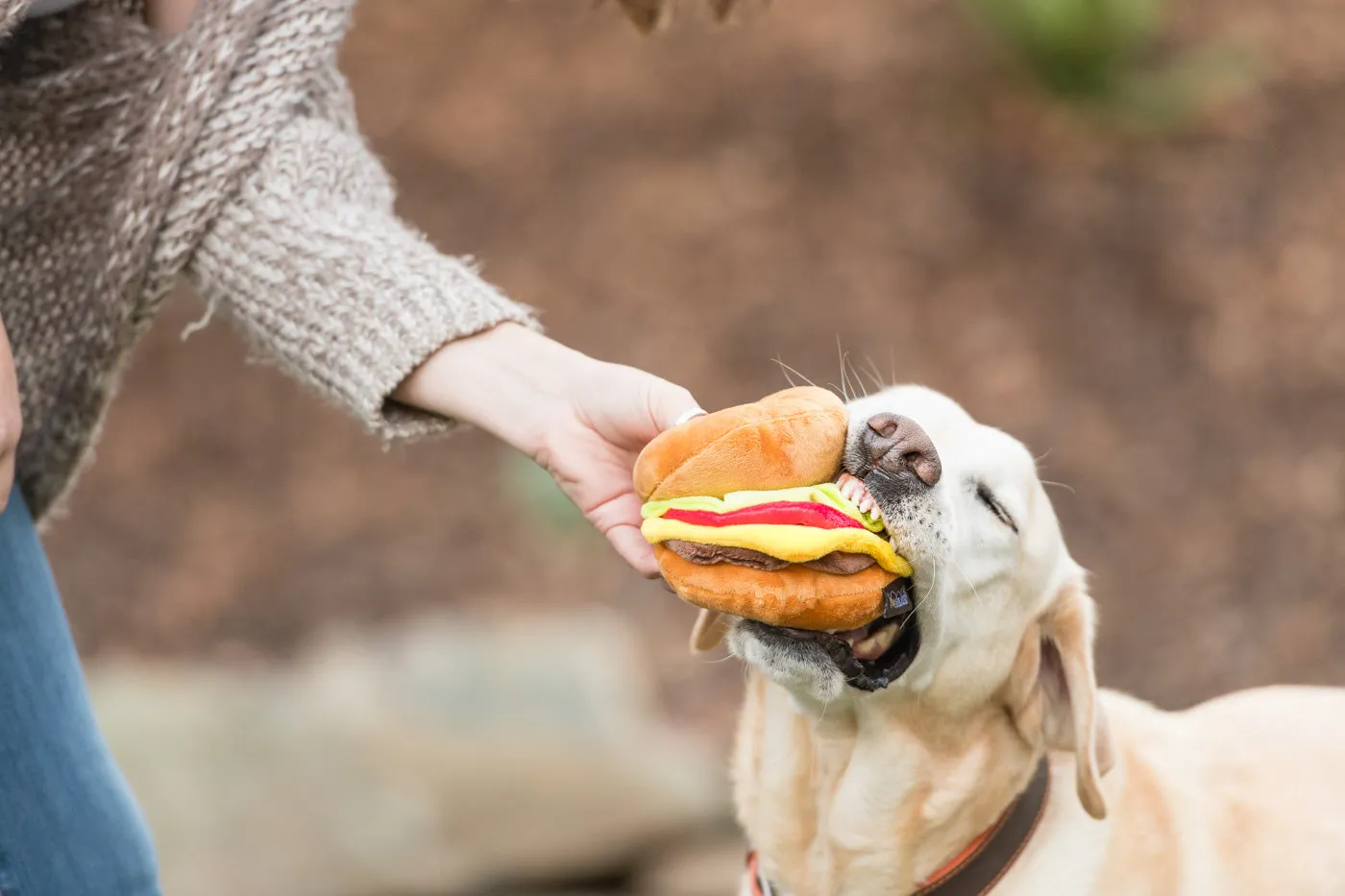 P.L.A.Y. American Classic Barky Burger hundleksak M prassel