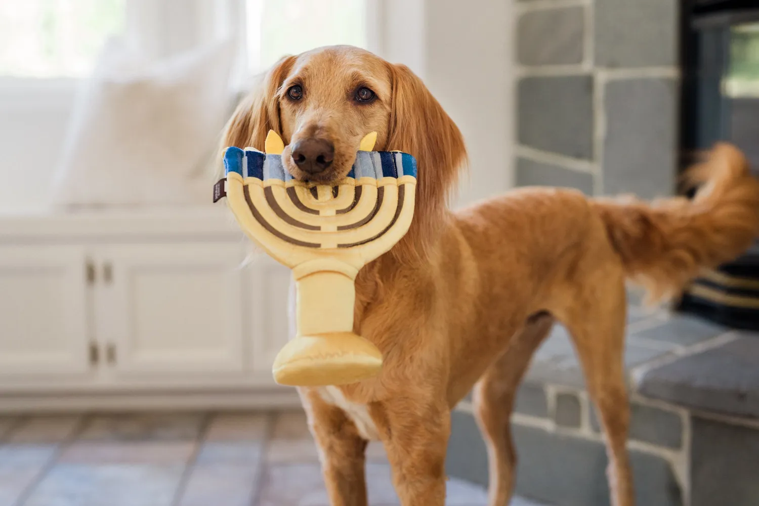 P.L.A.Y. Paw-nukkah Menorah hundleksak med pip