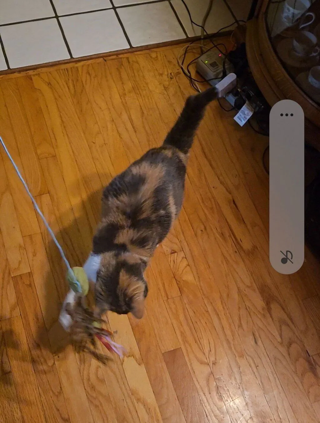 P.L.A.Y. Feline Frenzy Purrfectly Pitted Wand kattleksak oliv kattmynta