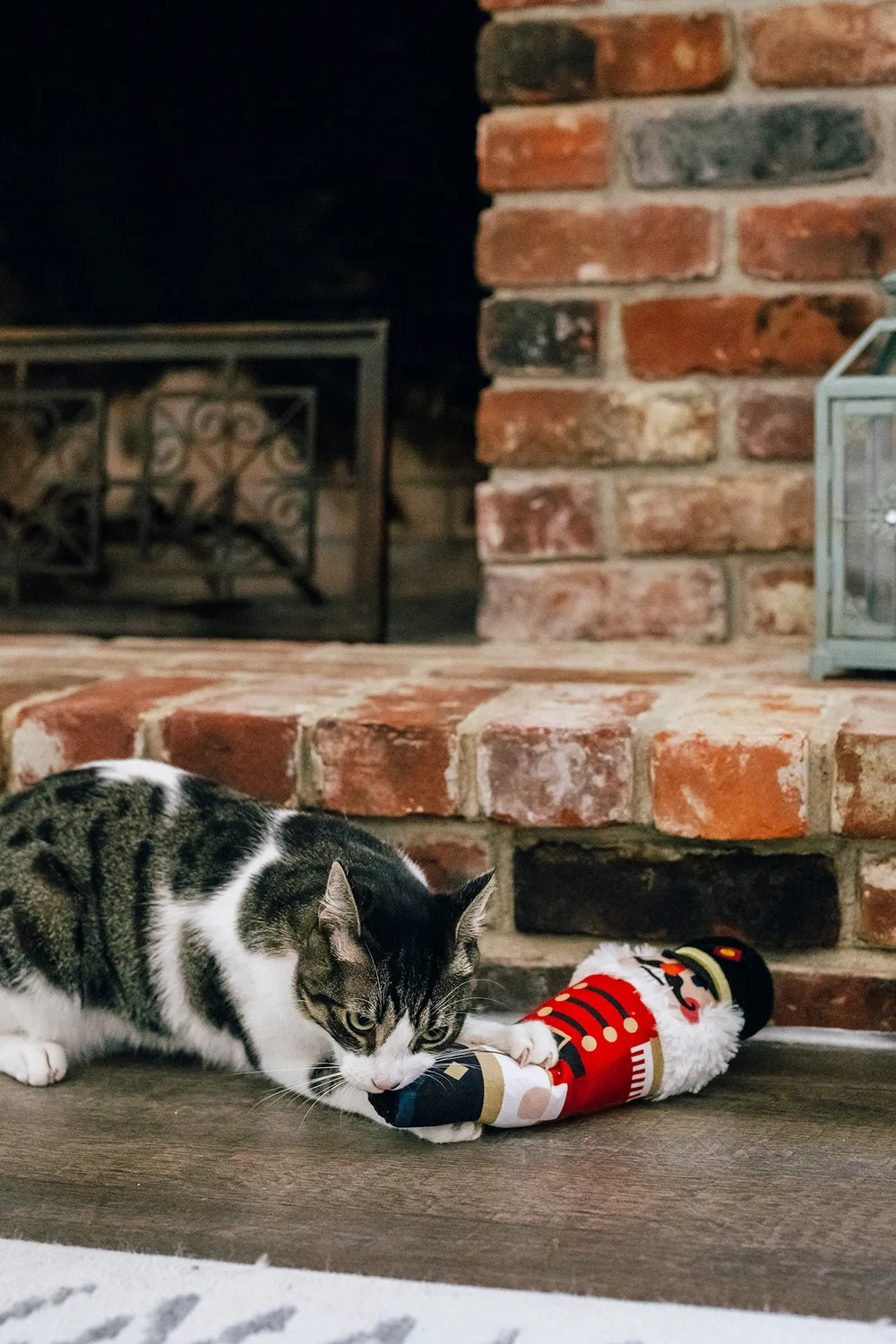 P.L.A.Y. Feline Frenzy Jolly Nutcracker kattleksak kicker