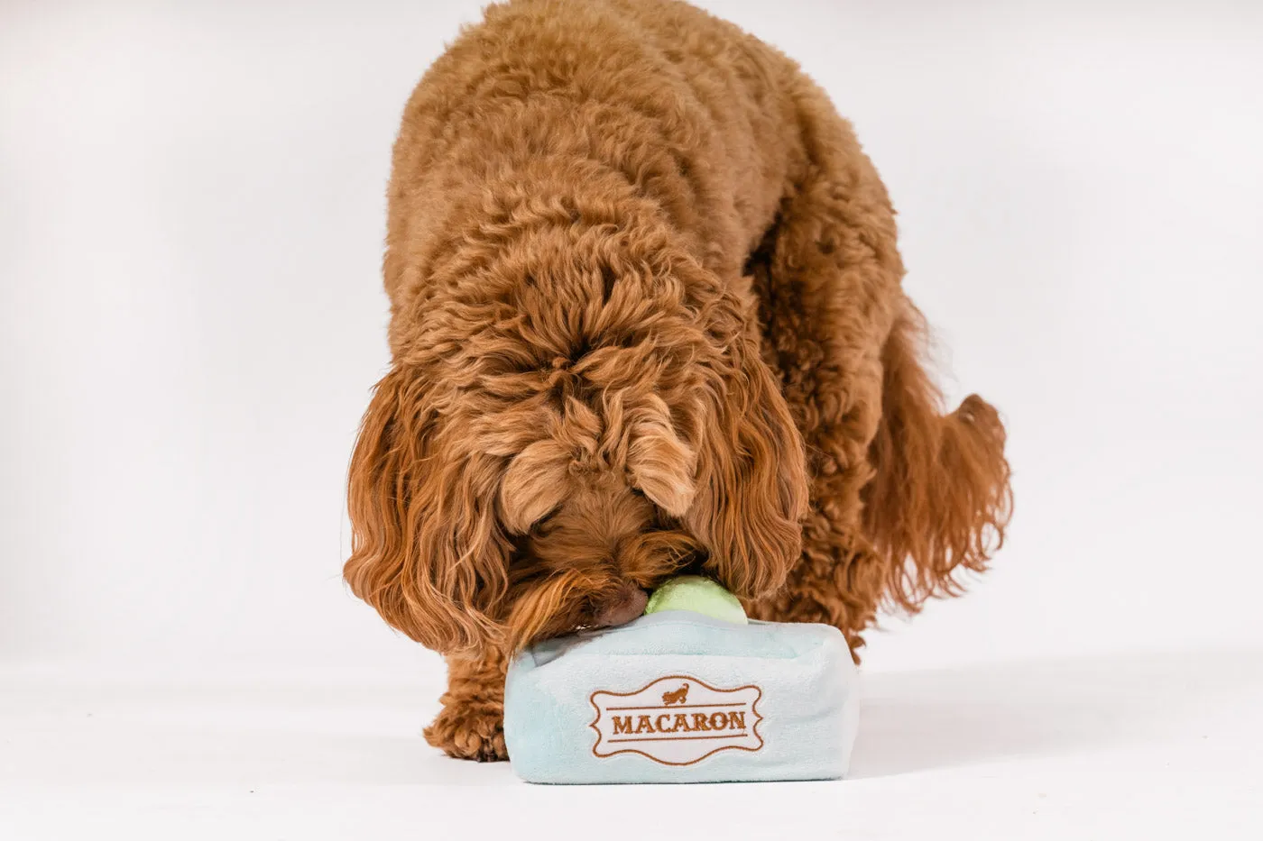 P.L.A.Y. Pup Cup Café Mutt-a-rons hundleksak med ask
