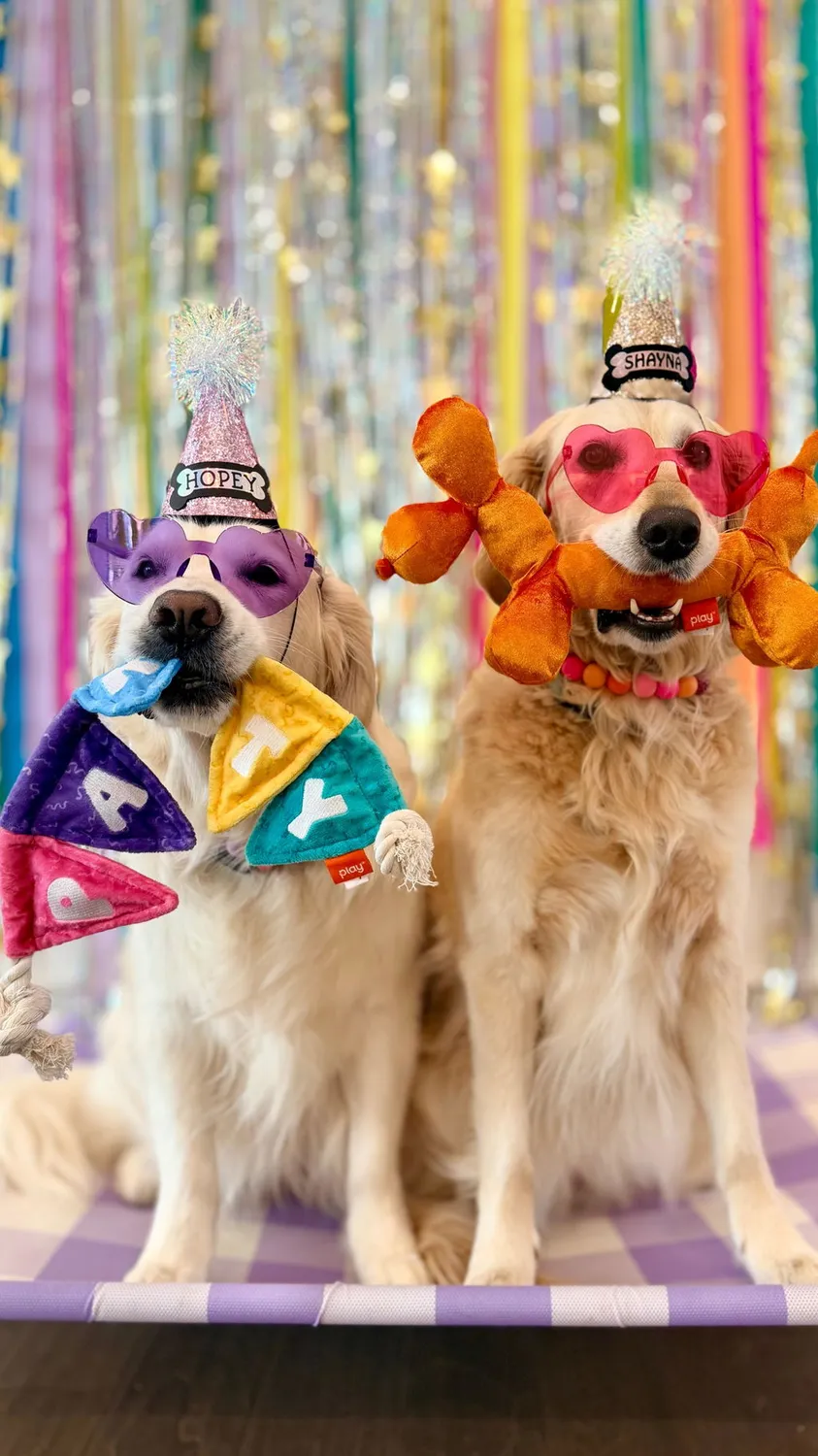 P.L.A.Y. Party Animal Collection hundleksak set pip