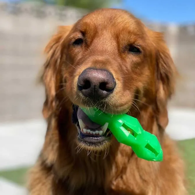 Spunky Pup Fruits Veggies godisleksak hund Banan gummi