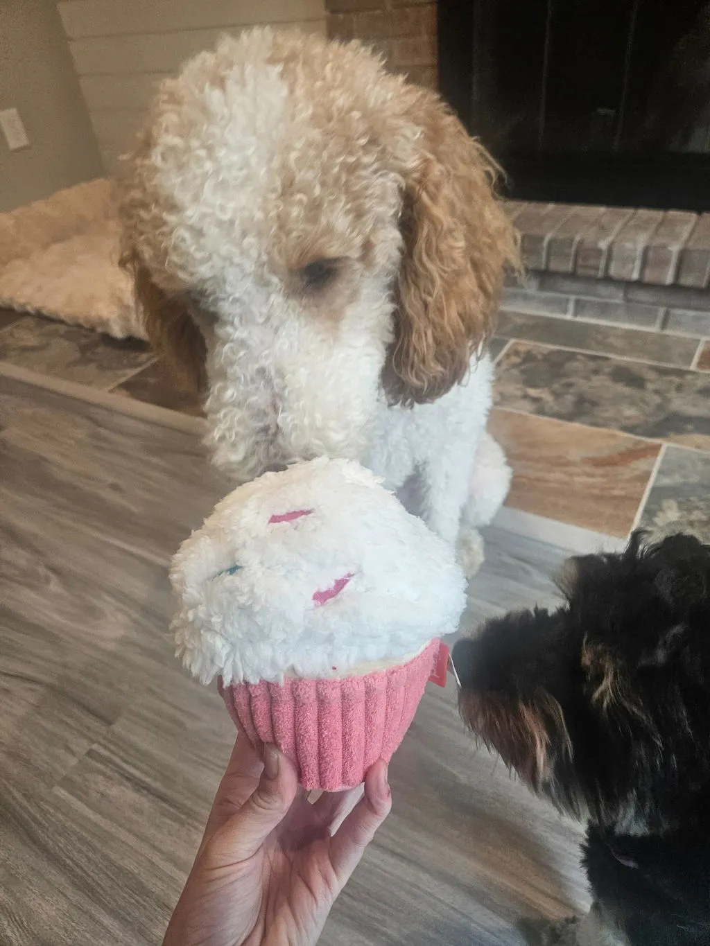 P.L.A.Y. Sugar Rush Cupcake hundleksak 2-i-1 med godisboll