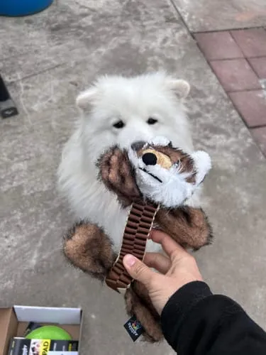 Spunky Pup Wibbleez Fox stretchleksak rak med pip