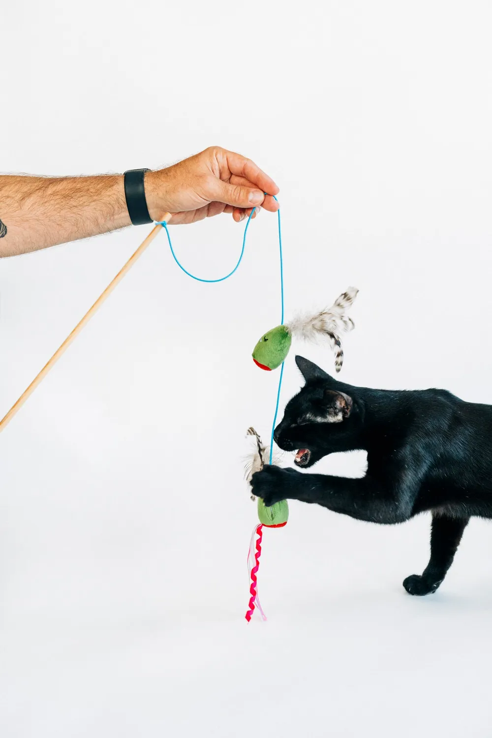 P.L.A.Y. Feline Frenzy Purrfectly Pitted Wand kattleksak oliv kattmynta
