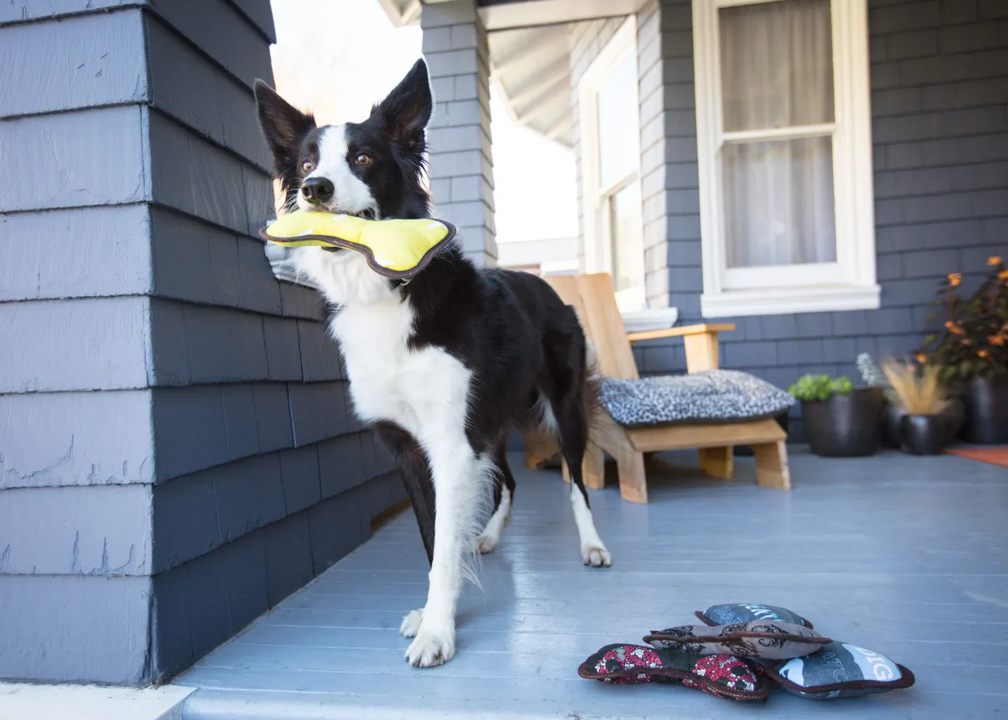 P.L.A.Y. ECO PLAY Bone mjuk hundleksak ben med pip