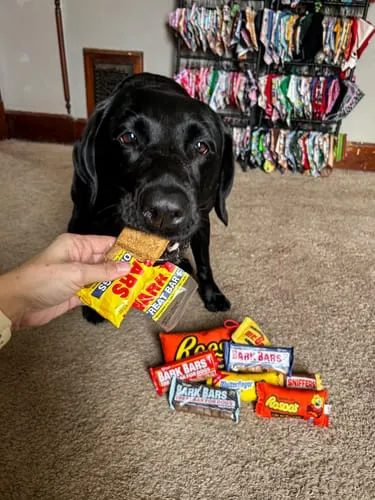 Spunky Pup Bark Bar hundgodis peanut butter singelbar