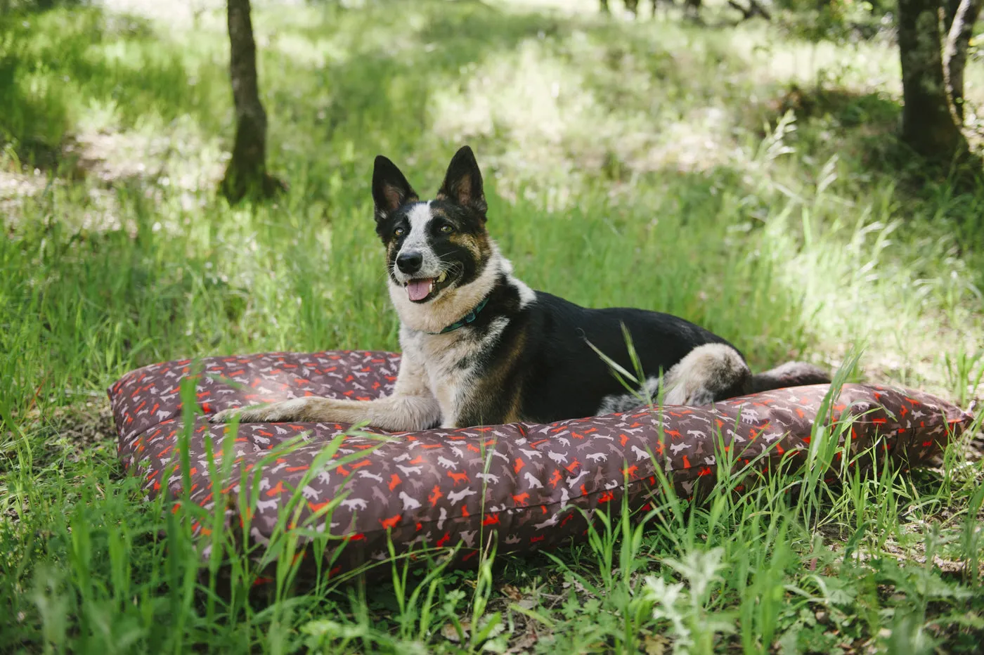 P.L.A.Y. Scout & About utebädd hund S–L vattenavvisande