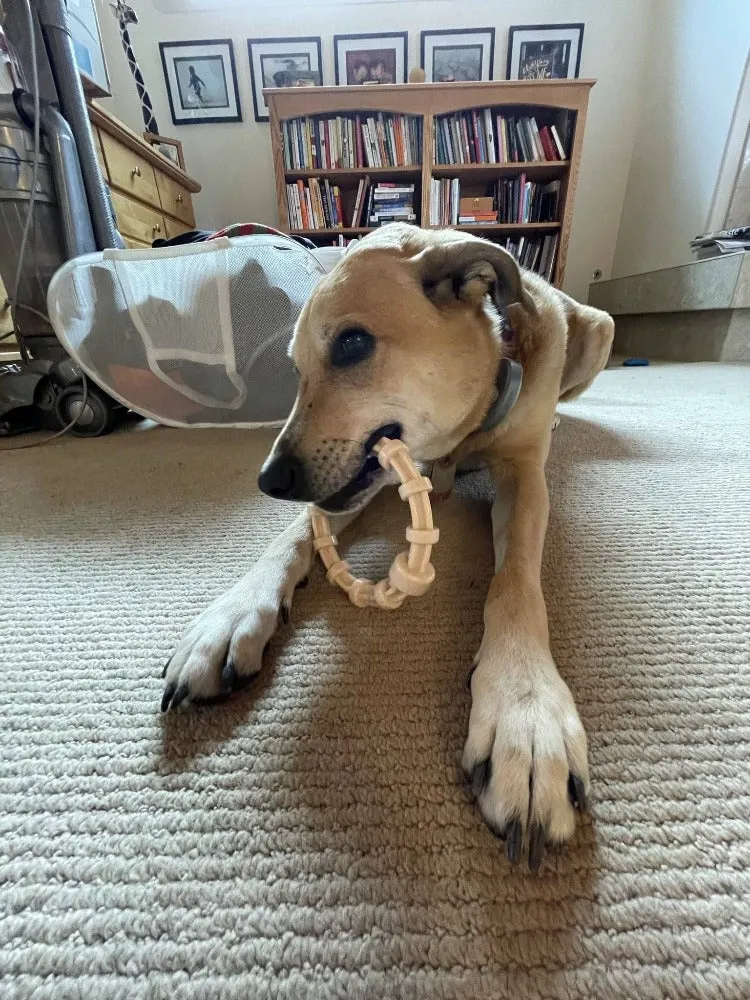 SodaPup Honey Bone Teething Ring tuggring kyckling