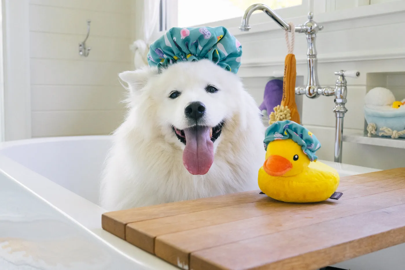 P.L.A.Y. Splish Splash Shower Quack hundleksak keps med pip
