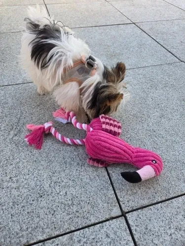 Pawtato Flamingo dragleksak plysch 34 cm med pip och rep