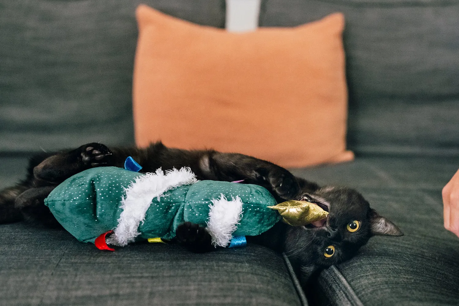 P.L.A.Y. Feline Frenzy O Christmas Tree kattleksak kattmynta
