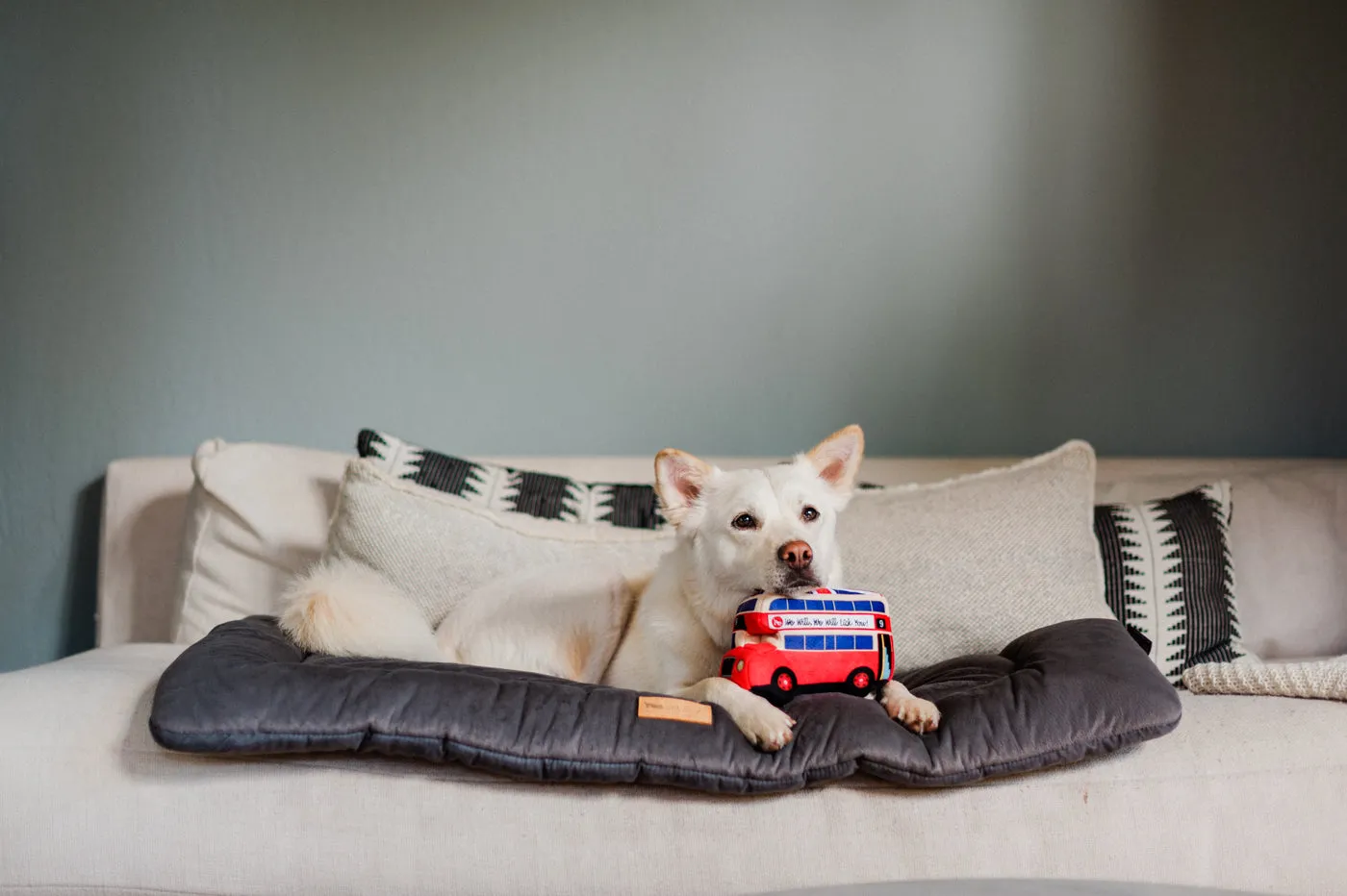 P.L.A.Y. Canine Commute Lickety-Split Bus hundleksak prassel