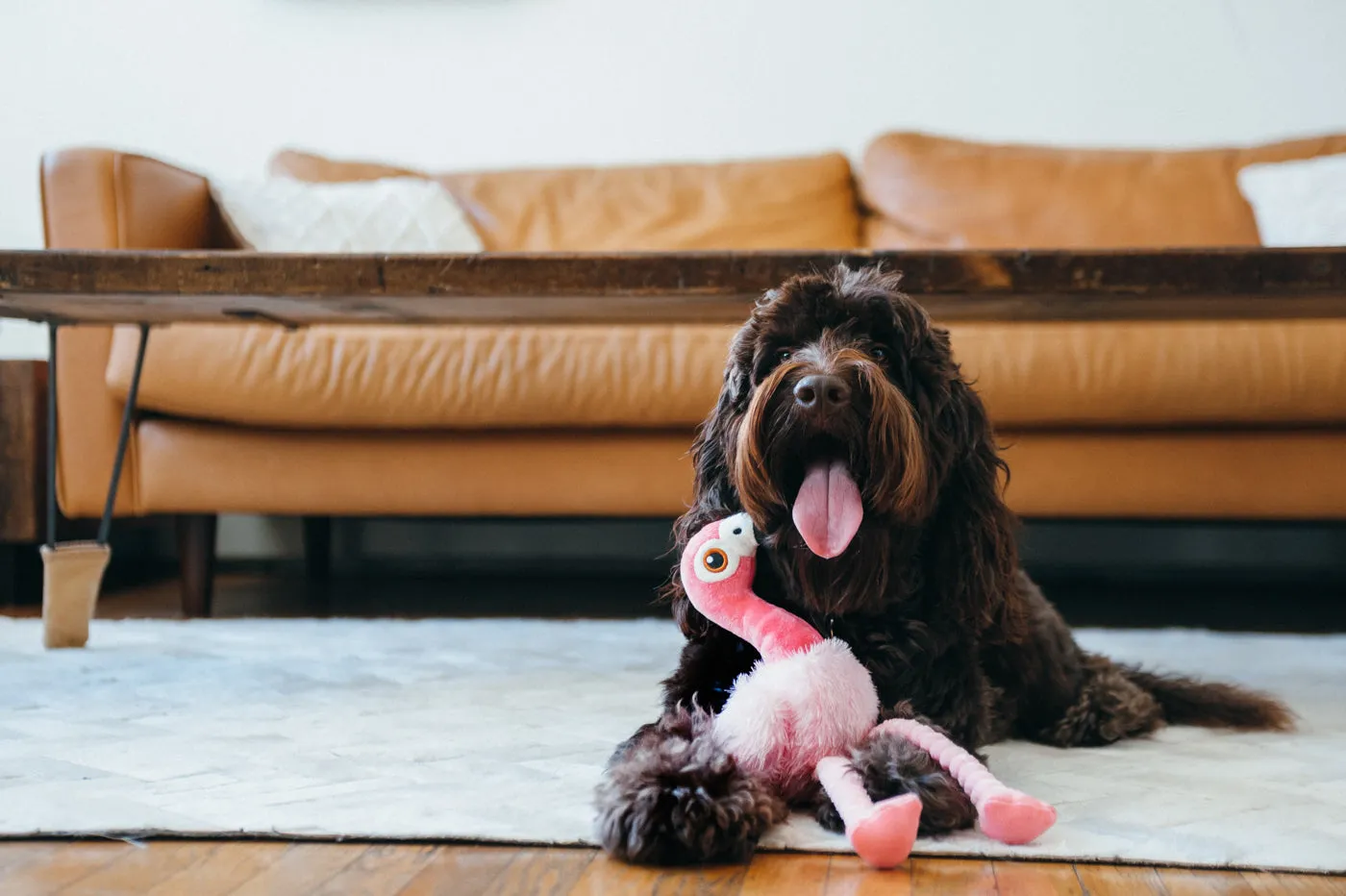 P.L.A.Y. Fetching Flock Flora the Flamingo hundleksak stor rosa med pip