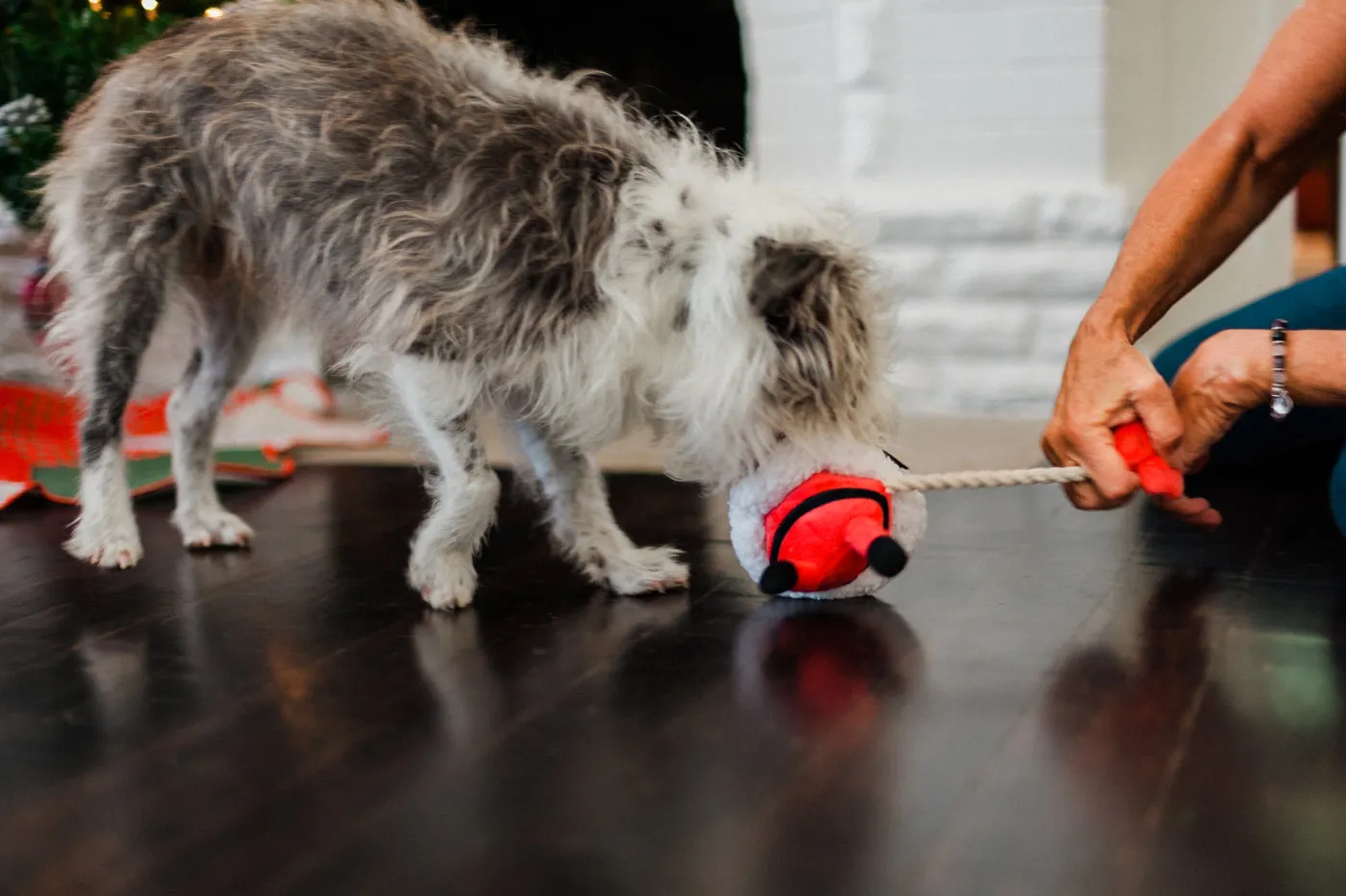 P.L.A.Y. Merry Woofmas Clumsy Claus hundleksak tomte med pip