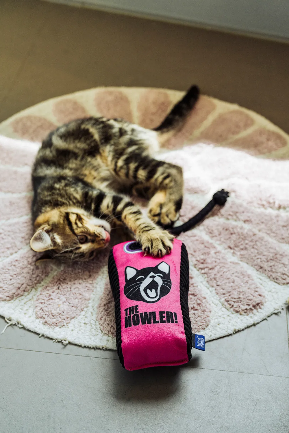 P.L.A.Y. Feline Frenzy Stomp Box kattleksak kattmynta
