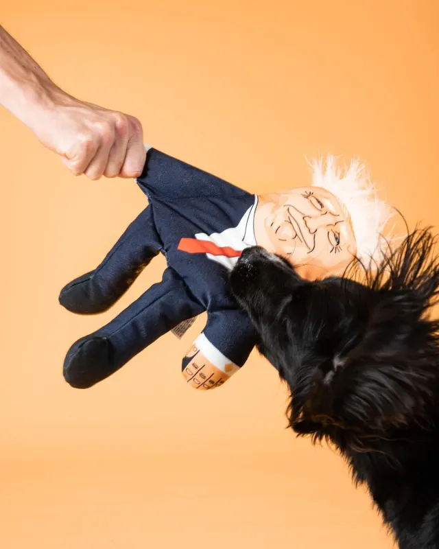 Pet Hates Toys Donald Trump hundleksak Regular pip