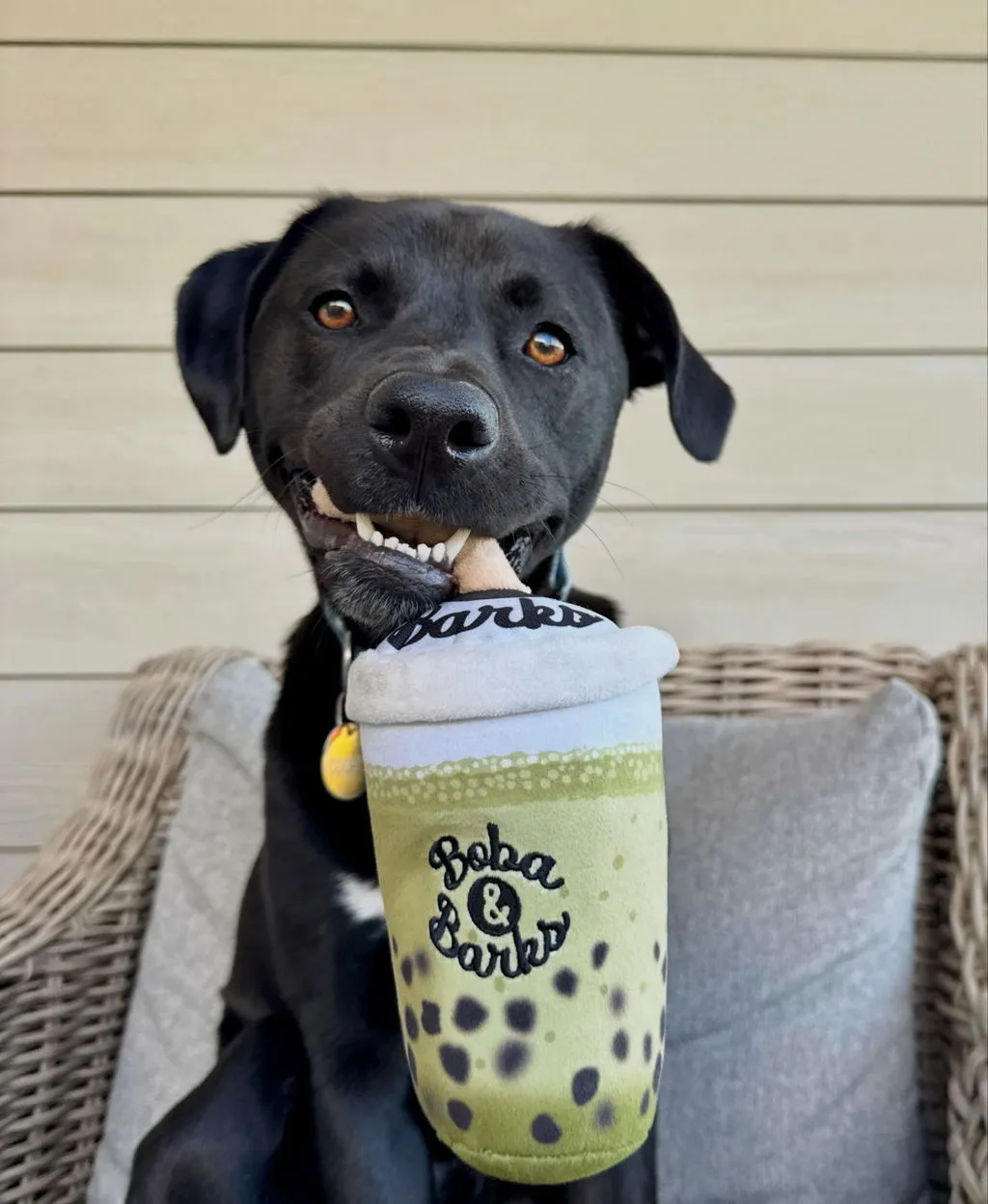 P.L.A.Y. Matcha Boba plyschleksak grön prassel