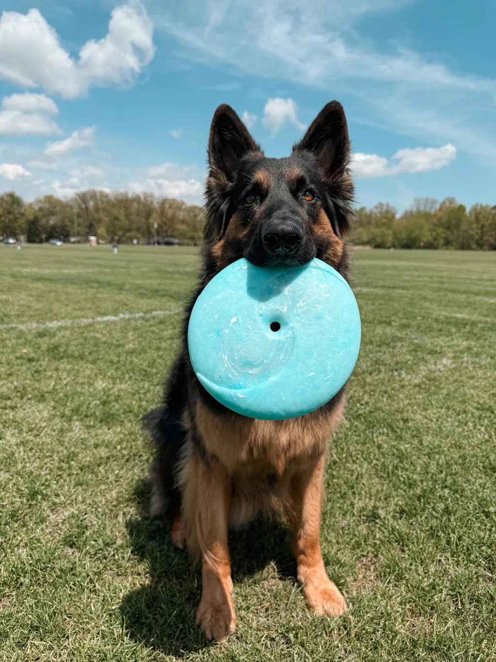 P.L.A.Y. ZoomieRex InfiniDisc hundfrisbee mjuk flytande