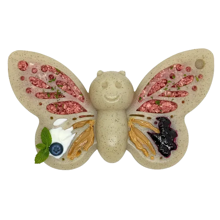 SodaPup Butterfly hundleksak lila nylon