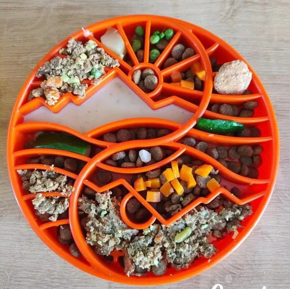 SodaPup Sun and Moon eTray slickmatta hund orange yin yang