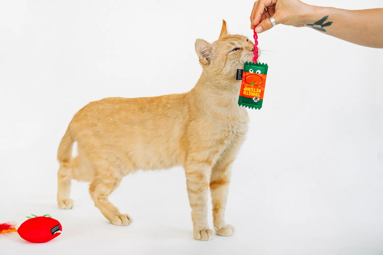 P.L.A.Y. Feline Frenzy Toma-toe Beans kattleksak 3-pack