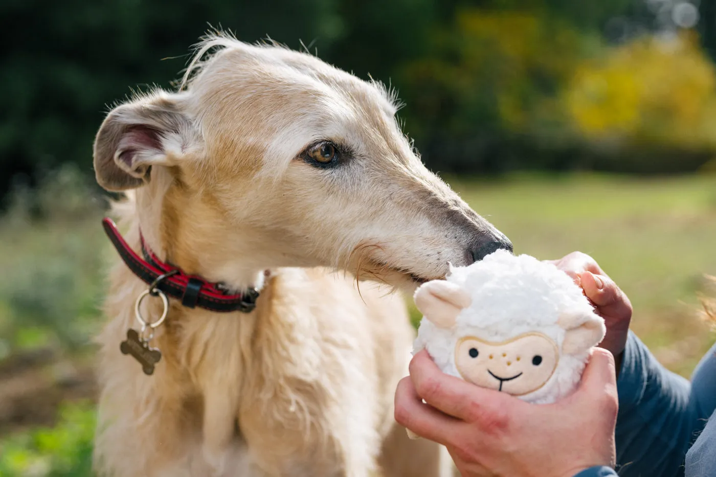 P.L.A.Y. Barnyard Buddies Sadie the Sheep hundleksak large vit