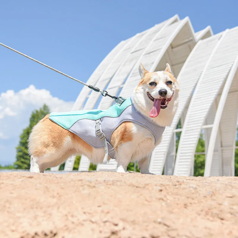 Pawtato Cooling Dog Vest kylande hundväst med koppelring