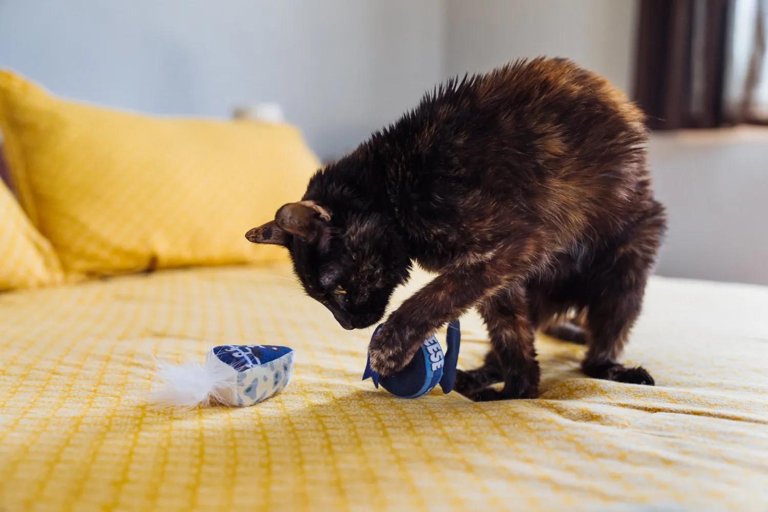 P.L.A.Y. Feline Frenzy Kitty Crumble kattleksak