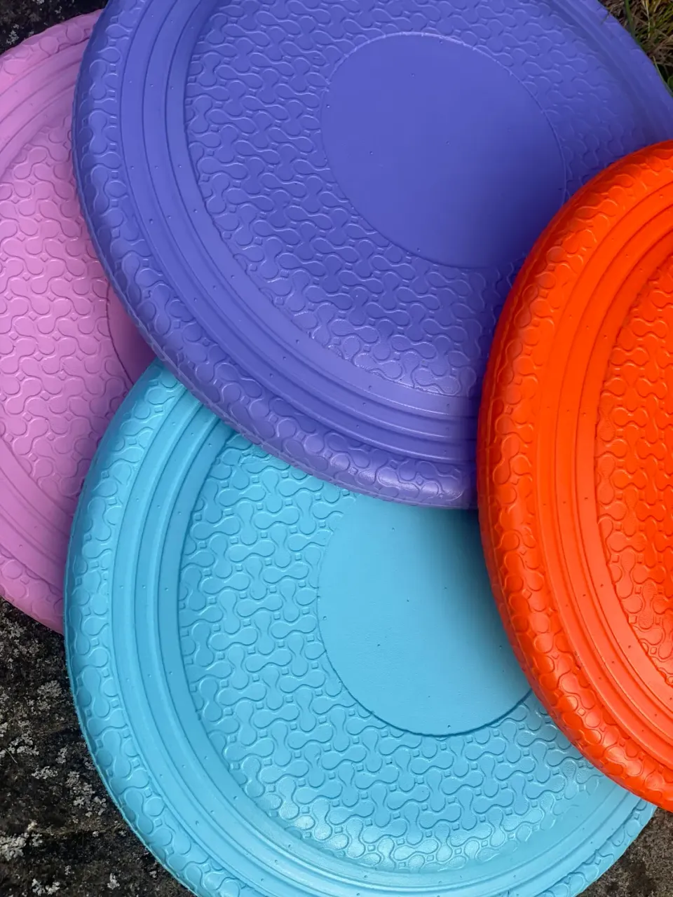 NewDog Frisbee 23cm EVA giftfri flytande