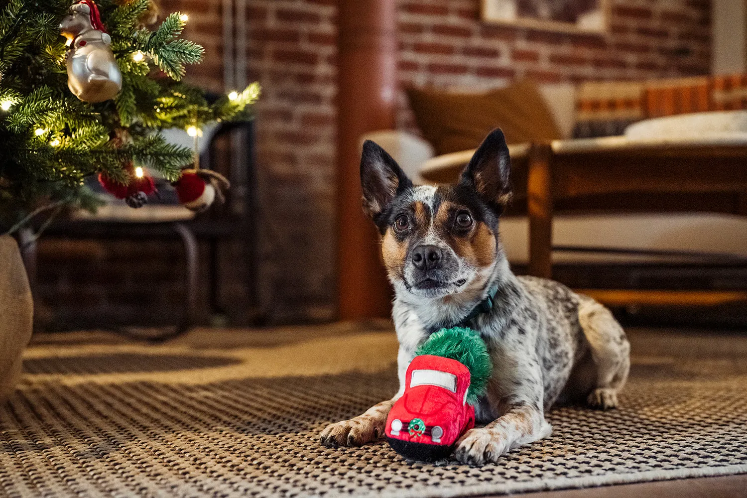 P.L.A.Y. Merry Minis Holiday Hauler hundleksak bil
