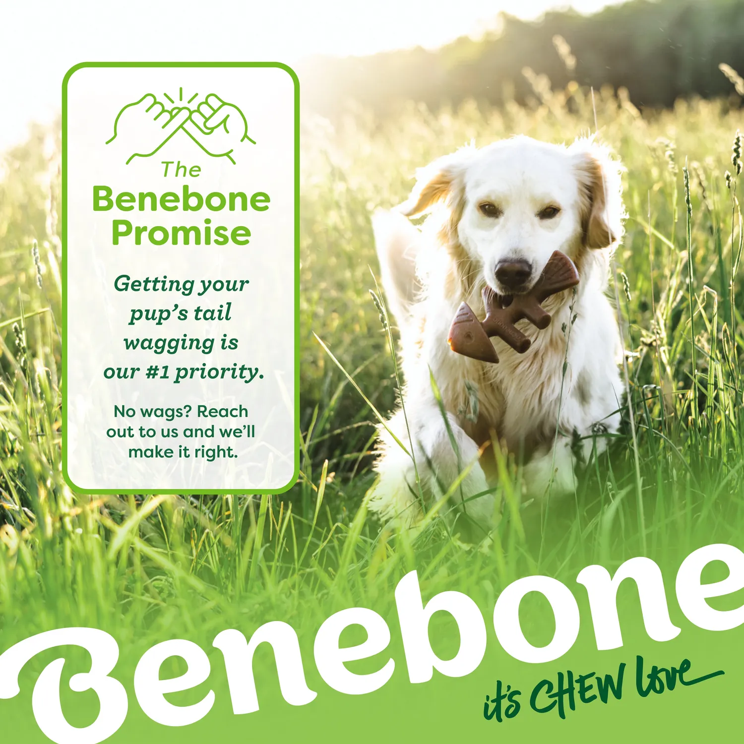 Benebone Classic Chew Collection tuggben 4-pack nylon