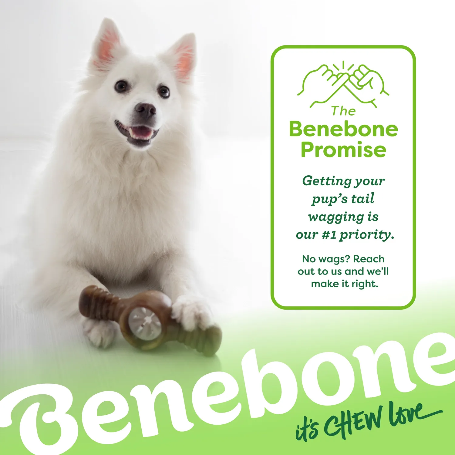 Benebone Pawplexer tuggleksak bacon Medium